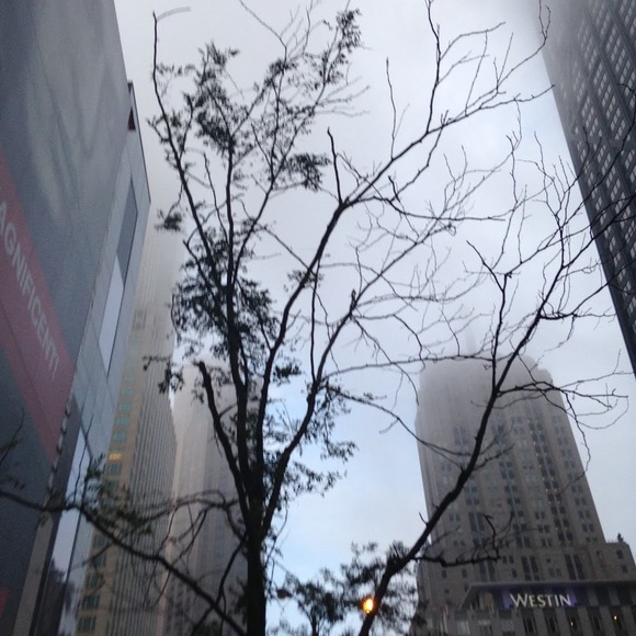 Meet your Posher, Chi - Picture 1 of 1